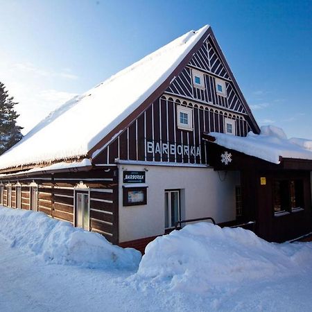 Hotel Penzion Barborka Rokytnice nad Jizerou Exterior foto